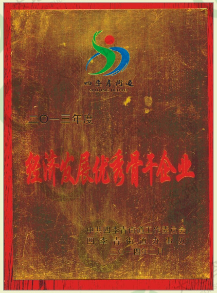 2013年度經(jīng)濟(jì)發(fā)展優(yōu)秀骨干企業(yè)